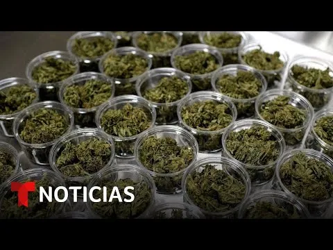 En que estados es legal la marihuan usa