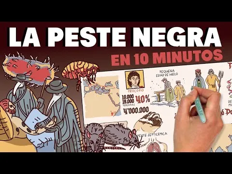 Porque surgio la peste negra