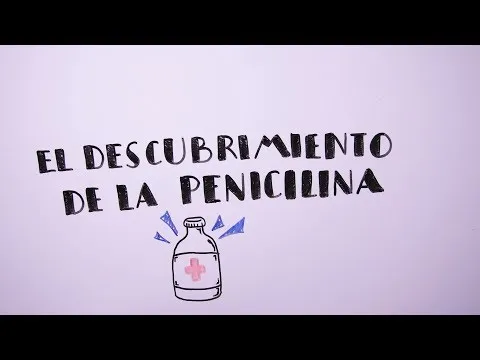 Quien invento la ampicilina
